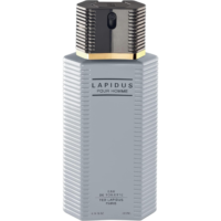 Eau de toilette pour homme ted lapidus 100 ml