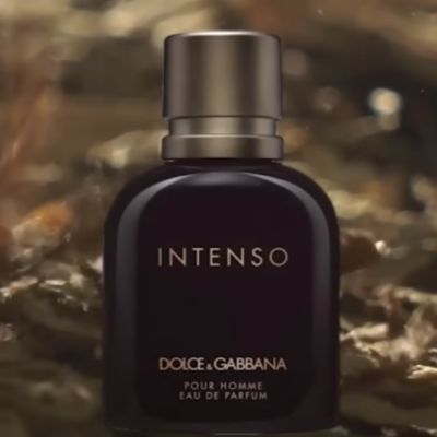 eau de parfum intenso de dolce gabbana